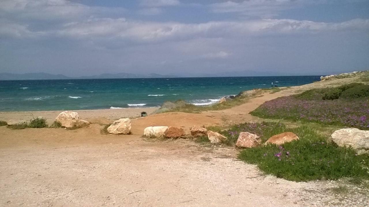 Apartament Nireos Proteos 20 Rafína Zewnętrze zdjęcie